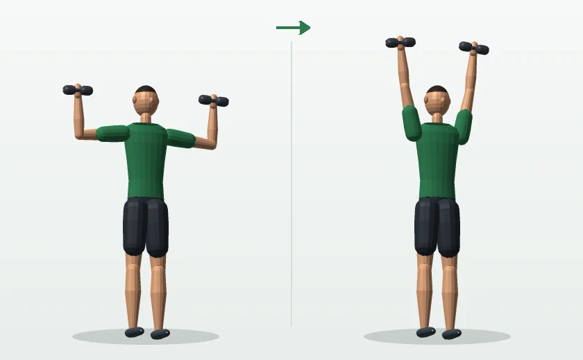 Dumbbell overhead press exercise, start and finish position, demonstrated by a male 3D model