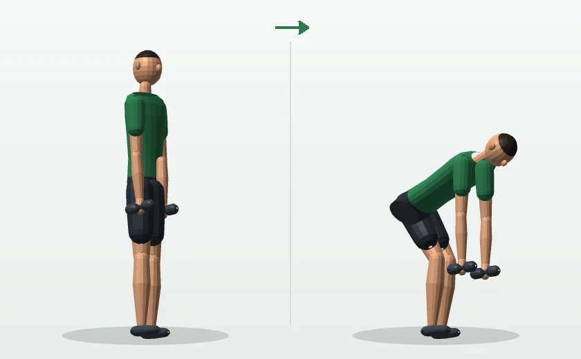 Dumbbell Romanian deadlift exercise, start and finish position, demonstrated by a male 3D model