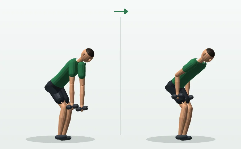 Dumbbell bent-over row exercise, start and finish position, demonstrated by a male 3D model