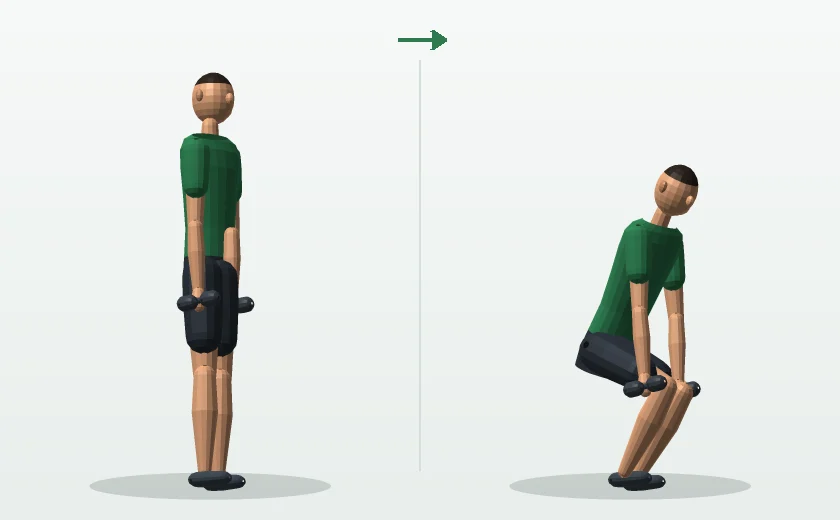 Dumbbell squat exercise, start and finish position, demonstrated by a male 3D model