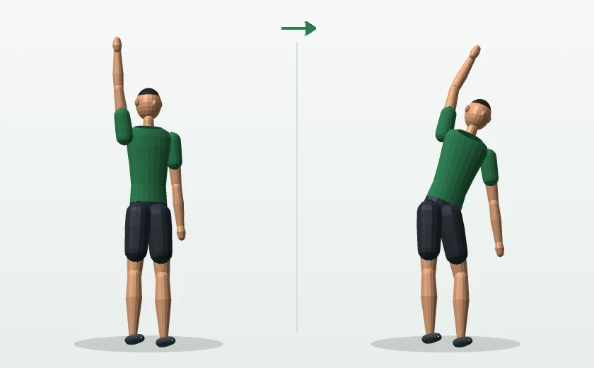 Standing side bend exercise, start and finish position, demonstrated by a male 3D model